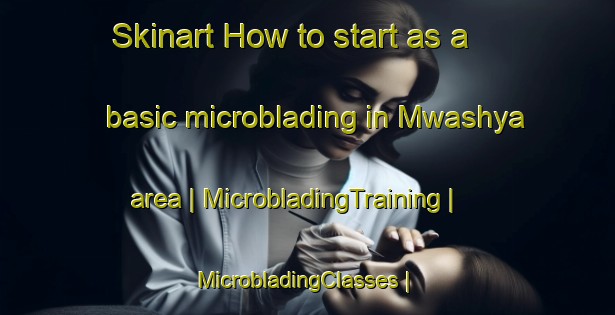 Skinart How to start as a basic microblading in Mwashya area | MicrobladingTraining | MicrobladingClasses | SkinartTraining-the Democratic Republic of the Congo